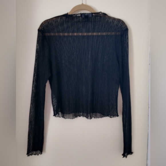 Sheer Pleated Boat Neck Top – Plus Size 0X, Elegant Long Sleeve Blouse - Picture 1 of 10